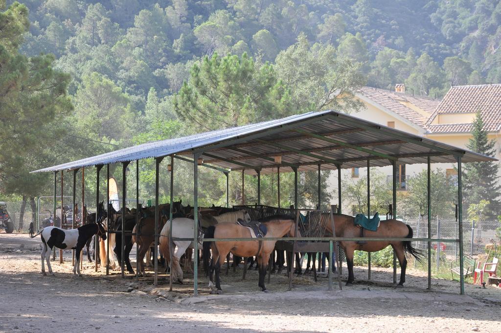 Alojamientos Rural Tejerina Arroyo Frio Exteriör bild